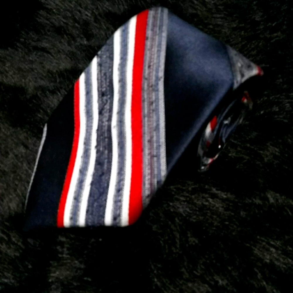 Gaylord's ltd. California men's silk necktie